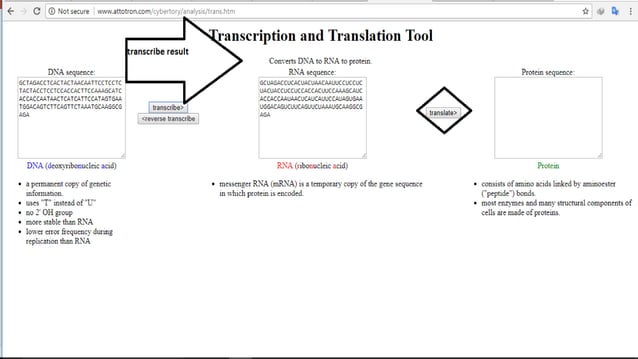 (Expasy) | PPT