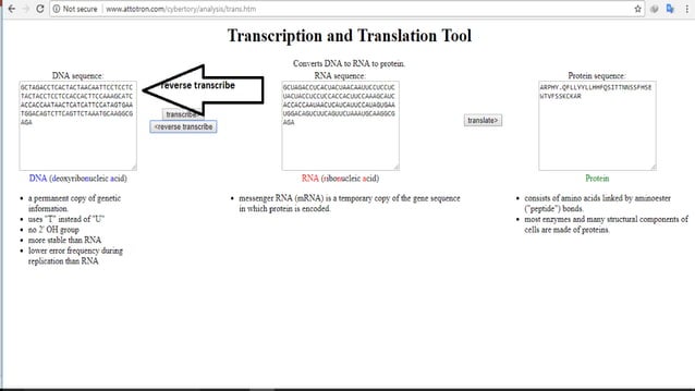 (Expasy) | PPT