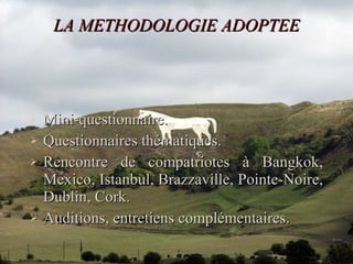 LA METHODOLOGIE ADOPTEE Mini-questionnaire. Questionnaires thématiques. Rencontre de compatriotes à Bangkok, Mexico, Istanbul, Brazzaville, Pointe-Noire, Dublin, Cork. Auditions, entretiens complémentaires. 