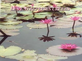 LES ENTREPRISES CREEES 