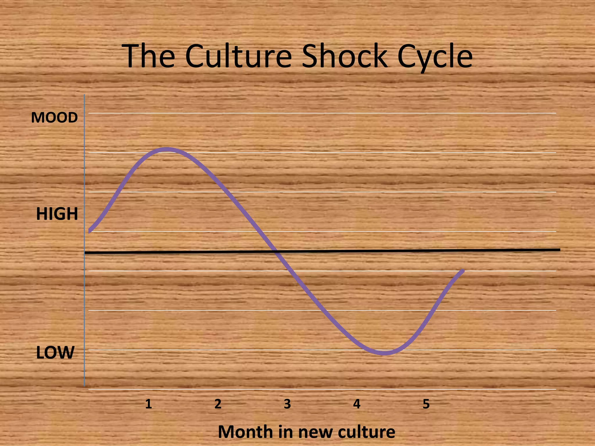 The Culture Shock Cycle
MOOD




HIGH




LOW

        1    2      3       4       5
             Month in new culture
 