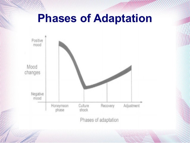 Expatriation process hr