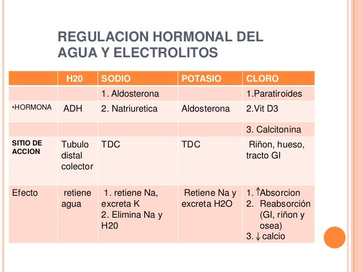 Las ideas acerca de calcular metabolismo basal formula