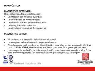 DIAGNÓSTICO
DIAGNÓSTICO DIFERENCIAL
Otras enfermedades respiratorias son:
• La infección por influenza aviar (IA)
• La enfermedad de Newcastle (EN)
• La infección por metapneumovirus aviar
• La laringotraqueitis infecciosa
• La micoplasmosis coriza infecciosa aviar
DIAGNÓSTICO CLINICO
• Aislamiento o la detección del ácido nucleico viral.
• Una respuesta elevada de anticuerpos en el suero.
• El aislamiento viral requiere su identificación, para ello se han empleado técnicas
como la RT-PCR/RFLP, comúnmente empleada para identificar genotipos del virus.
• Los ensayos de Inhibición de la hemaglutinación para determinar serotipos y los ELISA
para monitoreo general, son a menudo usados para diagnóstico serológico.
 