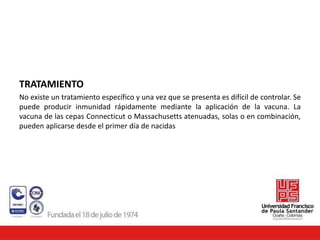 TRATAMIENTO
No existe un tratamiento específico y una vez que se presenta es difícil de controlar. Se
puede producir inmunidad rápidamente mediante la aplicación de la vacuna. La
vacuna de las cepas Connecticut o Massachusetts atenuadas, solas o en combinación,
pueden aplicarse desde el primer día de nacidas
 