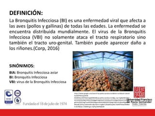 DEFINICIÓN:
La Bronquitis Infecciosa (BI) es una enfermedad viral que afecta a
las aves (pollos y gallinas) de todas las edades. La enfermedad se
encuentra distribuida mundialmente. El virus de la Bronquitis
Infecciosa (VBI) no solamente ataca el tracto respiratorio sino
también el tracto uro-genital. También puede aparecer daño a
los riñones.(Corp, 2016)
SINÓNIMOS:
BIA: Bronquitis Infecciosa aviar
BI: Bronquitis Infecciosa
VBI: virus de la Bronquitis Infecciosa
https://www.google.com/search?q=pollos+produccion&tbm=isch&ved=2ahUK
EwiGkPHA3ujoAhW-
ZDABHQcUDDYQ2cCegQIABAA&oq=pollos+produccion&gs_lcp=CgNpbWcQAzI
GCAAQCBAeMgYIABAIEB4yBggAEAgQHjoECAAQQzoHCAAQgwEQQzoCCAA6Bg
gAEAUQHlCXsgFYveIBYMblAWgAcAB4AIABjQOIAYQSkgEHMC43LjMuMZgBAKA
BAaoBC2d3cy13aXotaW1n&sclient=img&ei=pRqWXsapML7JwbkPh6iwsAM&bi
h=657&biw=1366#imgrc=GjPtyCX878o8zM
 