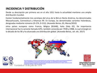 INCIDENCIA Y DISTRIBUCIÓN
Desde su descripción por primera vez en el año 1931 hasta la actualidad mantiene una amplia
distribución mundial.
Existen fundamentalmente tres serotipos del virus de la BIA en Norte América, los denominados
Massachussets, Connecticut y Arkansas 99. En Europa, las denominadas variantes holandesas,
designadas mediante números (D-274, D-212). (Acevedo Beiras, 03, Marzo/2010)
otros países europeos como Francia, Bélgica (B1648), Italia (Italy 02). De importancia
internacional fue la variante llamada 4/91, también conocida por 793B y CR88, la cual emergió en
la década de los 90 y ha alcanzado una distribución global. (Acevedo-Beiras, set.-dic. 2017)
https://www.google.com/search?q=mapa+geografico+del+mundo+bandera&tbm=isch&ved=2ahUKEwilSU9ujoAhW8TjABHT7
-A3IQ2-cCegQIABAA&oq=mapa+geografico+del+mundo+bandera&gs_lcp=CgNpbWcQAzoECCMQJzoCCABQ6x1Y-
URg4UdoAnAAeACAAckEiAHdGJIBCzAuNy40LjEuMC4xmAEAoAEBqgELZ3dzLXdpei1pbWc&sclient=img&ei=czOWXuX1Lrydwbk
PvvyPkAc&bih=609&biw=1366#imgrc=9xAxuNJVY-B2HM
 
