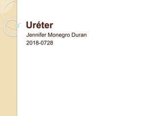 Uréter
Jennifer Monegro Duran
2018-0728
 