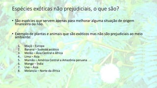 Espécies exóticas não prejudiciais, o que são?
• São espécies que servem apenas para melhorar alguma situação de origem
financeira ou não.
• Exemplo de plantas e animais que são exóticos mas não são prejudiciais ao meio
ambiente:
1. Maçã – Europa
2. Banana – Sudeste asiático
3. Melão – Ásia Central e África
4. Lima – Ásia
5. Mamão – América Central a Amazônia peruana
6. Manga – Índia
7. Uva – Ásia
8. Melancia – Norte da África
 
