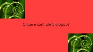 O que é controle biológico?
 