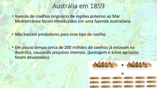 Austrália em 1859
• Invasão de coelhos originário de regiões próximo ao Mar
Mediterrâneo foram introduzidos em uma fazenda australiana.
• Não haviam predadores para esse tipo de coelho.
• Em pouco tempo cerca de 200 milhões de coelhos já estavam na
Austrália, causando prejuízos imensos. (pastagem e áreas agrícolas
foram devastadas).
 