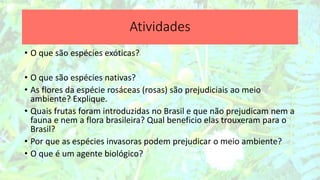 Atividades
• O que são espécies exóticas?
• O que são espécies nativas?
• As flores da espécie rosáceas (rosas) são prejudiciais ao meio
ambiente? Explique.
• Quais frutas foram introduzidas no Brasil e que não prejudicam nem a
fauna e nem a flora brasileira? Qual beneficio elas trouxeram para o
Brasil?
• Por que as espécies invasoras podem prejudicar o meio ambiente?
• O que é um agente biológico?
 