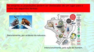 No entanto as populações podem ser deslocadas de um lugar para o
outro nas seguintes formas:
Naturalmente, por acidente da natureza.
Intencionalmente, pela ação do homem.
 
