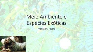 Meio Ambiente e
Espécies Exóticas
Professora: Rejane
 