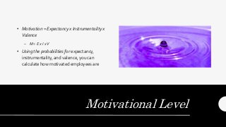Motivational Level
• Motivation = Expectancy x Instrumentality x
Valence
– M = E x I xV
• Using the probabilities for expectancy,
instrumentality, and valence, you can
calculate how motivated employees are
 
