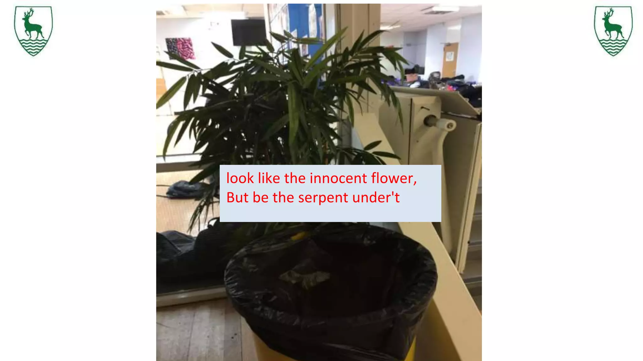 look like the innocent flower,
But be the serpent under't
 