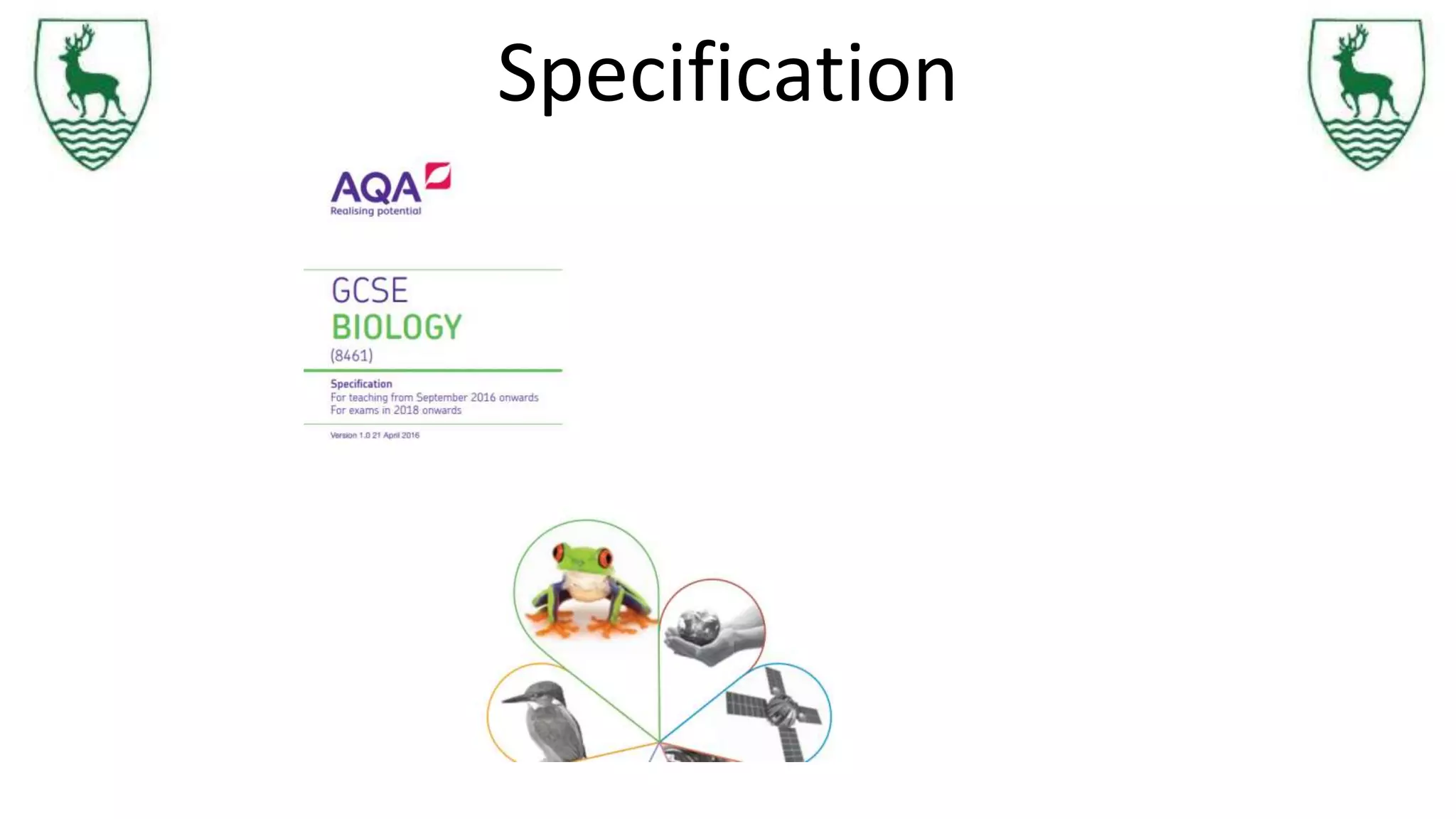 Specification
 