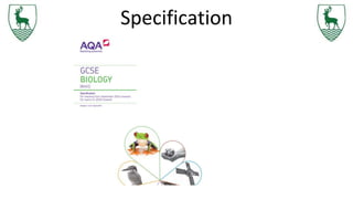 Specification
 