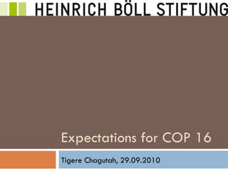 Expectations for COP 16 Tigere Chagutah, 29.09.2010 