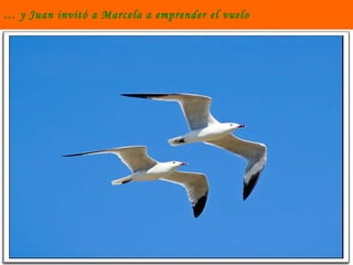 …  y Juan invitó a Marcela a emprender el vuelo 