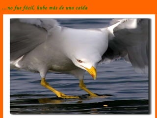 … no fue fácil, hubo más de una caída 