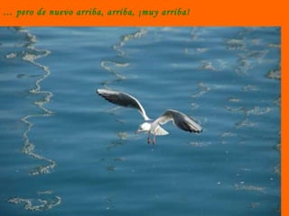 …  pero de nuevo arriba, arriba, ¡muy arriba! 