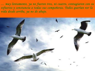 …  muy lentamente, ya no fueron tres, ni cuatro, contagiaron con su esfuerzo y constancia a todas sus compañeras. Todos querían ver la vida desde arriba, ya no de abajo. 