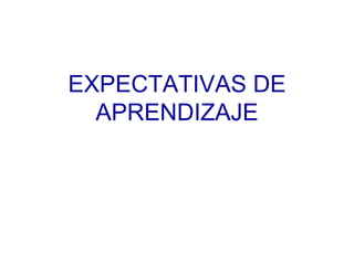 EXPECTATIVAS DE APRENDIZAJE 