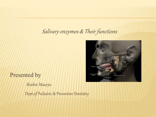 Salivary enzymes & Their functions
Presented by
Roshni Maurya
Dept.of Pediatric & Preventive Dentistry
 