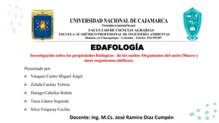 UNIVERSIDAD NACIONAL DE CAJAMARCA
“No
rtedelaUnive
rs
idadPe
ruana”
FACULTAD DE CIENCIAS AGRARIAS
ESCUELA ACADÉMICO PROFESIONAL DE INGENIERÍA AMBIENTAL
Shuitute s/n Chacapampa – Celendín - Telefax: 076-555307
EDAFOLOGÍA
Presentado por:
 Vásquez Castro Miguel Ángel
 Zelada Cachay Yelitza
 Huingo Cabellos Rubén
 Taica Llanos Segundo
 Silva Vergaray Cecilia
Docente: Ing. M.Cs. José Ramiro Díaz Cumpén
Investigación sobre las propiedades biológicas de los suelos: Organismos del suelo (Macro y
meso organismos edáficos).
 