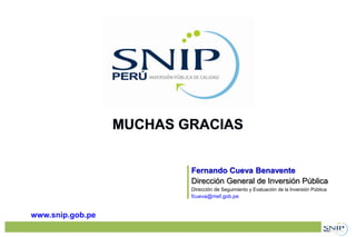 Fernando Cueva Benavente
Dirección General de Inversión Pública
Dirección de Seguimiento y Evaluación de la Inversión Pública
fcueva@mef.gob.pe
www.snip.gob.pe
 