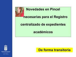 Novedades en Pincel   necesarias para el  Registro  centralizado de expedientes  académicos De forma transitoria 