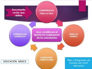 PROPÓSITOS
Plan y Programas de
Estudio del nivel
educativo
EDUCACIÓN BÁSICA
 
