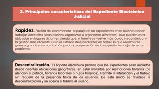 2. Principales características del Expediente Electrónico
Judicial
Rapidez. Facilita de sobremanera el pasaje de los expedientes entre quienes deben
trabajar sobre ellos (sean oficinas, organismos u organismos diferentes), que pueden estar
ubicadas en lugares distantes; siendo que, el trámite se vuelve más rápido y económico, y
la gestión más eficiente. Evita el extravío de expedientes en papel, lo que usualmente
genera grandes retrasos. La búsqueda y recuperación de los expedientes deja de ser un
problema.
Descentralización. El soporte electrónico permite que los expedientes sean iniciados
desde distintas ubicaciones geográficas, sin estar limitados por restricciones horarias (de
atención al público, horarios laborales o husos horarios). Permite la interacción y el trabajo
sin requerir de la presencia física de los usuarios. De este modo se favorece la
descentralización y se acerca el trámite al usuario.
 