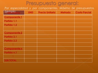 Por especialidad y por componentes. Máximo 04 presupuestos.
Ejemplo:
 