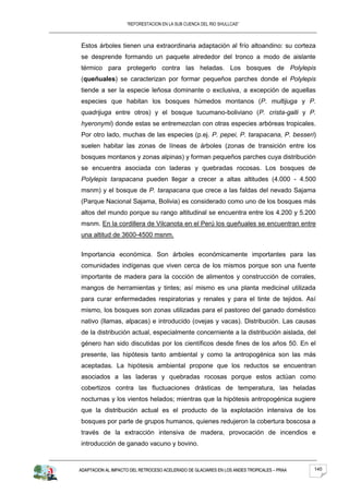 “REFORESTACION EN LA SUB CUENCA DEL RIO SHULLCAS”



Estos árboles tienen una extraordinaria adaptación al frío altoandino: su corteza
se desprende formando un paquete alrededor del tronco a modo de aislante
térmico para protegerlo contra las heladas. Los bosques de Polylepis
(queñuales) se caracterizan por formar pequeños parches donde el Polylepis
tiende a ser la especie leñosa dominante o exclusiva, a excepción de aquellas
especies que habitan los bosques húmedos montanos (P. multijuga y P.
quadrijuga entre otros) y el bosque tucumano-boliviano (P. crista-galli y P.
hyeronymi) donde estas se entremezclan con otras especies arbóreas tropicales.
Por otro lado, muchas de las especies (p.ej. P. pepei, P. tarapacana, P. besseri)
suelen habitar las zonas de líneas de árboles (zonas de transición entre los
bosques montanos y zonas alpinas) y forman pequeños parches cuya distribución
se encuentra asociada con laderas y quebradas rocosas. Los bosques de
Polylepis tarapacana pueden llegar a crecer a altas altitudes (4.000 - 4.500
msnm) y el bosque de P. tarapacana que crece a las faldas del nevado Sajama
(Parque Nacional Sajama, Bolivia) es considerado como uno de los bosques más
altos del mundo porque su rango altitudinal se encuentra entre los 4.200 y 5.200
msnm. En la cordillera de Vilcanota en el Perú los queñuales se encuentran entre
una altitud de 3600-4500 msnm.


Importancia económica. Son árboles económicamente importantes para las
comunidades indígenas que viven cerca de los mismos porque son una fuente
importante de madera para la cocción de alimentos y construcción de corrales,
mangos de herramientas y tintes; así mismo es una planta medicinal utilizada
para curar enfermedades respiratorias y renales y para el tinte de tejidos. Así
mismo, los bosques son zonas utilizadas para el pastoreo del ganado doméstico
nativo (llamas, alpacas) e introducido (ovejas y vacas). Distribución. Las causas
de la distribución actual, especialmente concerniente a la distribución aislada, del
género han sido discutidas por los científicos desde fines de los años 50. En el
presente, las hipótesis tanto ambiental y como la antropogénica son las más
aceptadas. La hipótesis ambiental propone que los reductos se encuentran
asociados a las laderas y quebradas rocosas porque estos actúan como
cobertizos contra las fluctuaciones drásticas de temperatura, las heladas
nocturnas y los vientos helados; mientras que la hipótesis antropogénica sugiere
que la distribución actual es el producto de la explotación intensiva de los
bosques por parte de grupos humanos, quienes redujeron la cobertura boscosa a
través de la extracción intensiva de madera, provocación de incendios e
introducción de ganado vacuno y bovino.



ADAPTACION AL IMPACTO DEL RETROCESO ACELERADO DE GLACIARES EN LOS ANDES TROPICALES – PRAA   140
 