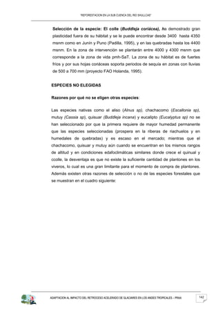 “REFORESTACION EN LA SUB CUENCA DEL RIO SHULLCAS”



 Selección de la especie: El colle (Buddleja coriácea), ha demostrado gran
 plasticidad fuera de su hábitat y se le puede encontrar desde 3400 hasta 4350
 msnm como en Junín y Puno (Padilla, 1995), y en las quebradas hasta los 4400
 msnm. En la zona de intervención se plantarán entre 4000 y 4300 msnm que
 corresponde a la zona de vida pmh-SaT. La zona de su hábitat es de fuertes
 fríos y por sus hojas coriáceas soporta periodos de sequía en zonas con lluvias
 de 500 a 700 mm (proyecto FAO Holanda, 1995).


ESPECIES NO ELEGIDAS


Razones por qué no se eligen otras especies:


Las especies nativas como el aliso (Alnus sp), chachacomo (Escallonia sp),
mutuy (Cassia sp), quisuar (Buddleja incana) y eucalipto (Eucalyptus sp) no se
han seleccionado por que la primera requiere de mayor humedad permanente
que las especies seleccionadas (prospera en la riberas de riachuelos y en
humedales de quebradas) y es escaso en el mercado; mientras que el
chachacomo, quisuar y mutuy aún cuando se encuentran en los mismos rangos
de altitud y en condiciones edafoclimáticas similares donde crece el quinual y
ccolle, la desventaja es que no existe la suficiente cantidad de plantones en los
viveros, lo cual es una gran limitante para el momento de compra de plantones.
Además existen otras razones de selección o no de las especies forestales que
se muestran en el cuadro siguiente:




ADAPTACION AL IMPACTO DEL RETROCESO ACELERADO DE GLACIARES EN LOS ANDES TROPICALES – PRAA   142
 