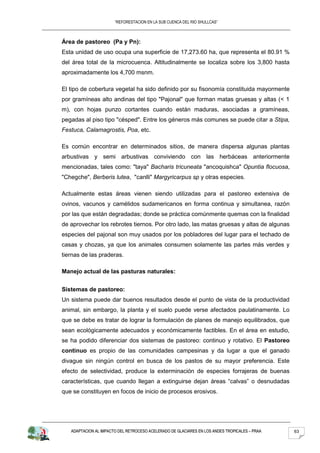 “REFORESTACION EN LA SUB CUENCA DEL RIO SHULLCAS”



Área de pastoreo (Pa y Pn):
Esta unidad de uso ocupa una superficie de 17,273.60 ha, que representa el 80.91 %
del área total de la microcuenca. Altitudinalmente se localiza sobre los 3,800 hasta
aproximadamente los 4,700 msnm.

El tipo de cobertura vegetal ha sido definido por su fisonomía constituida mayormente
por gramíneas alto andinas del tipo "Pajonal" que forman matas gruesas y altas (< 1
m), con hojas punzo cortantes cuando están maduras, asociadas a gramíneas,
pegadas al piso tipo "césped". Entre los géneros más comunes se puede citar a Stipa,
Festuca, Calamagrostis, Poa, etc.

Es común encontrar en determinados sitios, de manera dispersa algunas plantas
arbustivas y semi arbustivas conviviendo con las herbáceas anteriormente
mencionadas, tales como: "taya" Bacharis tricuneata "ancoquishca" Opuntia flocuosa,
"Chegche", Berberis lutea, "canlli" Margyricarpus sp y otras especies.

Actualmente estas áreas vienen siendo utilizadas para el pastoreo extensiva de
ovinos, vacunos y camélidos sudamericanos en forma continua y simultanea, razón
por las que están degradadas; donde se práctica comúnmente quemas con la finalidad
de aprovechar los rebrotes tiernos. Por otro lado, las matas gruesas y altas de algunas
especies del pajonal son muy usados por los pobladores del lugar para el techado de
casas y chozas, ya que los animales consumen solamente las partes más verdes y
tiernas de las praderas.

Manejo actual de las pasturas naturales:


Sistemas de pastoreo:
Un sistema puede dar buenos resultados desde el punto de vista de la productividad
animal, sin embargo, la planta y el suelo puede verse afectados paulatinamente. Lo
que se debe es tratar de lograr la formulación de planes de manejo equilibrados, que
sean ecológicamente adecuados y económicamente factibles. En el área en estudio,
se ha podido diferenciar dos sistemas de pastoreo: continuo y rotativo. El Pastoreo
continuo es propio de las comunidades campesinas y da lugar a que el ganado
divague sin ningún control en busca de los pastos de su mayor preferencia. Este
efecto de selectividad, produce la exterminación de especies forrajeras de buenas
características, que cuando llegan a extinguirse dejan áreas “calvas” o desnudadas
que se constituyen en focos de inicio de procesos erosivos.




   ADAPTACION AL IMPACTO DEL RETROCESO ACELERADO DE GLACIARES EN LOS ANDES TROPICALES – PRAA   63
 