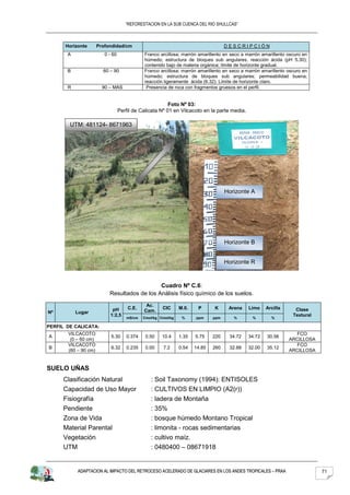 “REFORESTACION EN LA SUB CUENCA DEL RIO SHULLCAS”



      Horizonte       Profondidad/cm                                                DESCRIPCIÓN
       A                 0 - 60              Franco arcillosa; marrón amarillento en seco a marrón amarillento oscuro en
                                             húmedo; estructura de bloques sub angulares, reacción ácida (pH 5.30);
                                             contenido bajo de materia orgánica; límite de horizonte gradual.
       B                60 – 90              Franco arcillosa; marrón amarillento en seco a marrón amarillento oscuro en
                                             húmedo; estructura de bloques sub angulares; permeabilidad buena;
                                             reacción ligeramente ácida (6.32). Límite de horizonte claro.
       R                90 – MAS              Presencia de roca con fragmentos gruesos en el perfil.


                                                         Foto Nº 03:
                                  Perfil de Calicata Nº 01 en Vilcacoto en la parte media.

        UTM: 481124- 8671963




                                                                                    Horizonte A




                                                                                    Horizonte B


                                                                                    Horizonte R



                                              Cuadro Nº C.6:
                           Resultados de los Análisis físico químico de los suelos.
                                              Ac.
                            pH        C.E.            CIC      M.0.    P      K      Arena   Limo    Arcilla      Clase
Nº         Lugar                             Cam.
                           1:2,5                                                                                 Textural
                                     mS/cm   Cmol/kg Cmol/kg    %     ppm     ppm      %      %        %

PERFIL DE CALICATA:
       VILCACOTO                                                                                                  FCO
A                           5.30     0.374    0.50    10.4     1.35   5.75    220    34.72   34.72   30.56
        (0 – 60 cm)                                                                                            ARCILLOSA
       VILCACOTO                                                                                                  FCO
B                           6.32     0.235    0.00    7.2      0.54   14.85   260    32.88   32.00   35.12
       (60 – 90 cm)                                                                                            ARCILLOSA


SUELO UÑAS
      Clasificación Natural                     : Soil Taxonomy (1994): ENTISOLES
      Capacidad de Uso Mayor                    : CULTIVOS EN LIMPIO (A2(r))
      Fisiografía                               : ladera de Montaña
      Pendiente                                 : 35%
      Zona de Vida                              : bosque húmedo Montano Tropical
      Material Parental                         : limonita - rocas sedimentarias
      Vegetación                                : cultivo maíz.
      UTM                                       : 0480400 – 08671918


           ADAPTACION AL IMPACTO DEL RETROCESO ACELERADO DE GLACIARES EN LOS ANDES TROPICALES – PRAA                        71
 