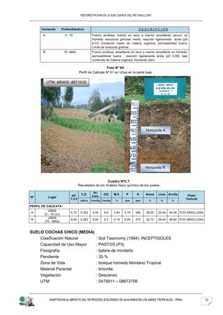 “REFORESTACION EN LA SUB CUENCA DEL RIO SHULLCAS”



      Horizonte       Profondidad/cm                                          DESCRIPCIÓN
       A                0 - 70               Franco arcillosa; marrón en seco a marrón amarillento oscuro, en
                                             húmedo; estructura granular medio, reacción ligeramente ácida (pH
                                             6.72) Contenido medio de materia orgánica; permeabilidad buena.
                                             Limite de horizonte gradual.
       R               70- MAS               Franco arcillosa; amarillento en seco a marrón amarillento en húmedo;
                                             permeabilidad buena ; reacción ligeramente ácida (pH 6.59); bajo
                                             contenido de materia orgánica .Horizonte claro.

                                                        Foto Nº 04:
                                    Perfil de Calicata Nº 01 en Uñas en la parte baja.

           UTM: 480400 -8671918




                                                                                   Horizonte A




                                                                                   Horizonte R


                                                       Cuadro NºC.7:
                                    Resultados de los Análisis físico químico de los suelos.

                                              Ac.
                             pH       C.E.            CIC      M.0.    P     K     Arena    Limo Arcilla         Clase
Nº         Lugar                             Cam.
                            1:2,5                                                                               Textural
                                     mS/cm   Cmol/kg Cmol/kg    %     ppm    ppm      %        %      %

PERFIL DE CALICATA:
           UÑAS
A                           6.72     0.342    0.00    8.0      2.84   0.19   280    36.00   29.44   34.56 FCO ARCILLOSA
        (0 – 70 cm)
           UÑAS
R                           6.59     0.283    0.00    6.7      0.14   0.09   270    32.72   28.44   38.84 FCO ARCILLOSA
        (70 - MAS)


SUELO COCHAS CHICO (MEDIA)
      Clasificación Natural                     : Soil Taxonomy (1994): INCEPTISOLES
      Capacidad de Uso Mayor                    : PASTOS (P3)
      Fisiografía                               : ladera de montaña
      Pendiente                                 : 35 %
      Zona de Vida                              : bosque húmedo Montano Tropical
      Material Parental                         : limonita
      Vegetación                                : Descanso.
      UTM                                       : 0479911 – 08673708



            ADAPTACION AL IMPACTO DEL RETROCESO ACELERADO DE GLACIARES EN LOS ANDES TROPICALES – PRAA                      72
 