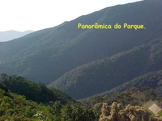 ExpediçãO EcolóGica Serra Do Tabuleiro Com Agta