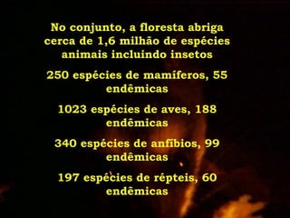 ExpediçãO EcolóGica Serra Do Tabuleiro Com Agta