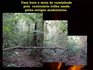 ExpediçãO EcolóGica Serra Do Tabuleiro Com Agta