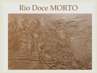 
Rio Doce MORTO
 