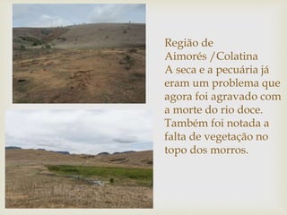 Região de
Aimorés /Colatina
A seca e a pecuária já
eram um problema que
agora foi agravado com
a morte do rio doce.
Também foi notada a
falta de vegetação no
topo dos morros.
 