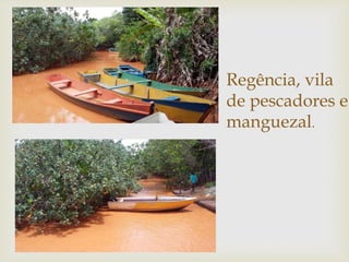 Regência, vila
de pescadores e
manguezal.
 
