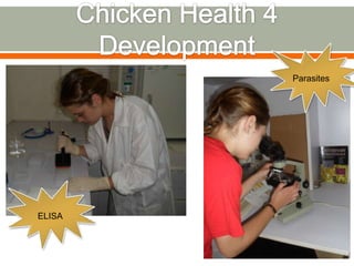 Expedition to Ethiopia