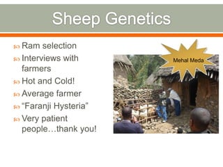 Expedition to Ethiopia