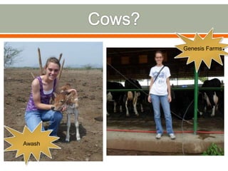 Expedition to Ethiopia