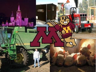 Expedition to Ethiopia